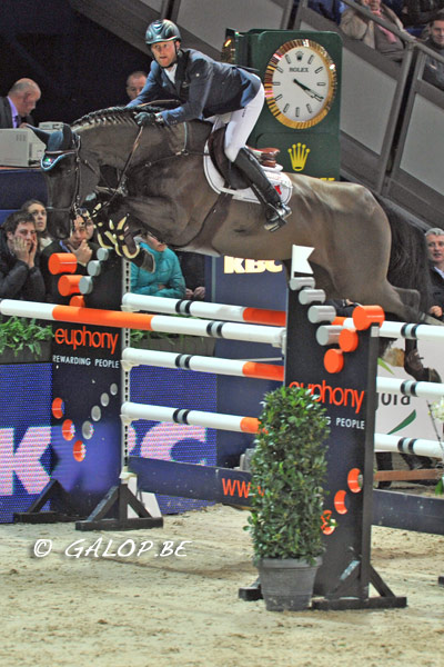 Diamanthina van 't Ruytershof