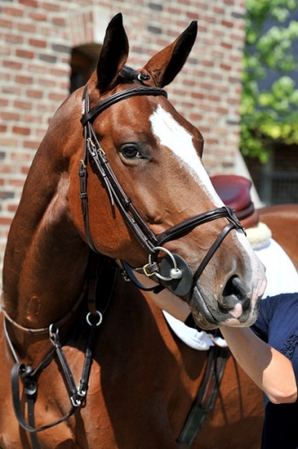 Casandra verhuist naar Ashford Farm