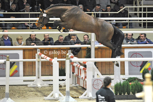 Jilbert van 't Ruytershof